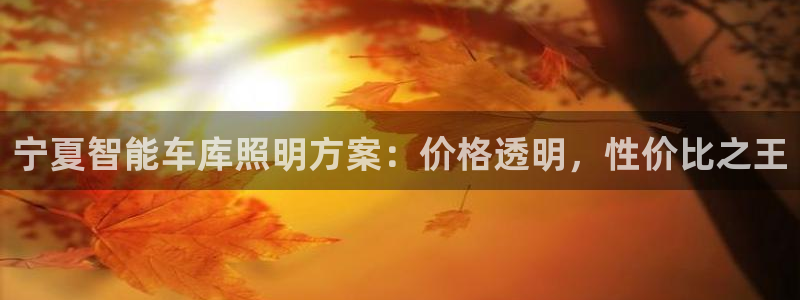云顶国际平台游戏
