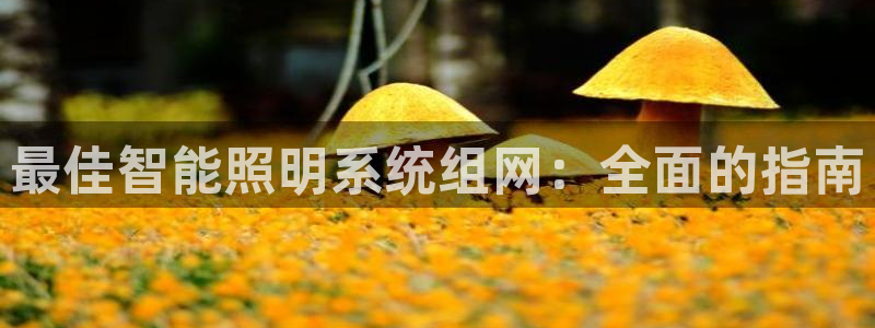 云顶国际调酒培训怎么样