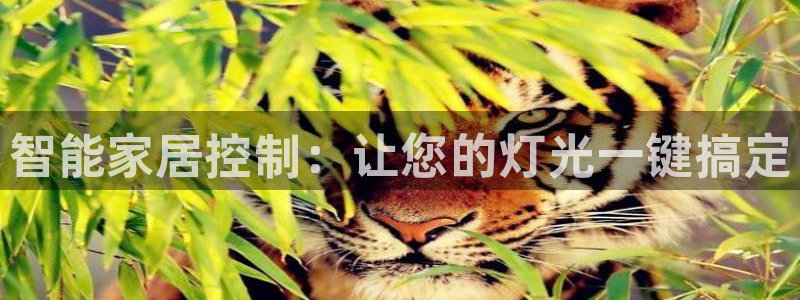 云顶游戏网站网址