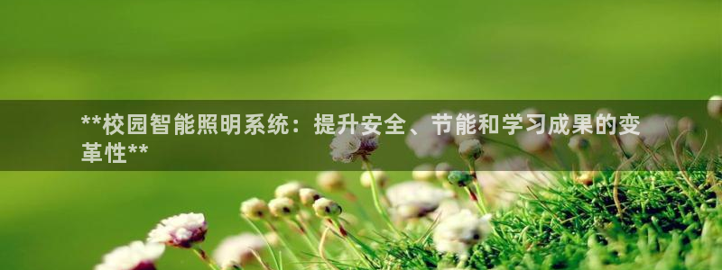 云顶路线图