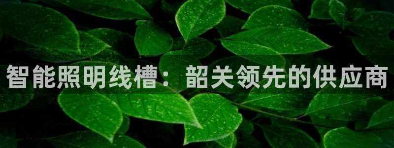 云顶国际酒店老板是谁