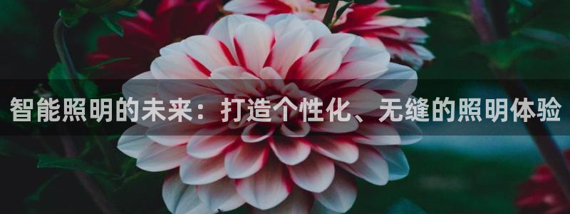 上海云顶国际会所有什么服务