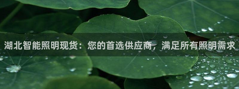 云顶集团电话
