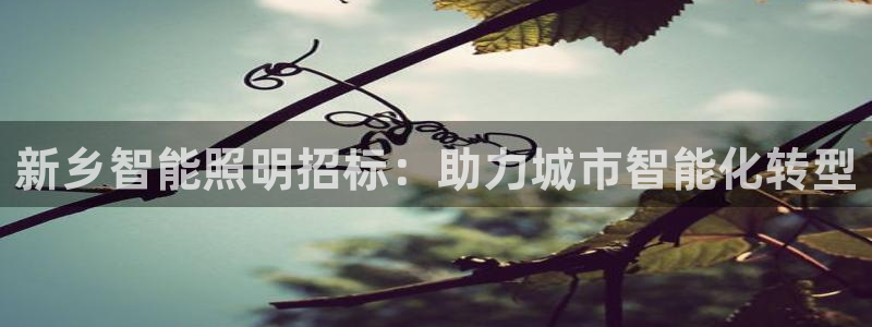 云顶t00