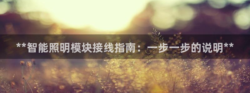 云顶国际不出款怎么办
