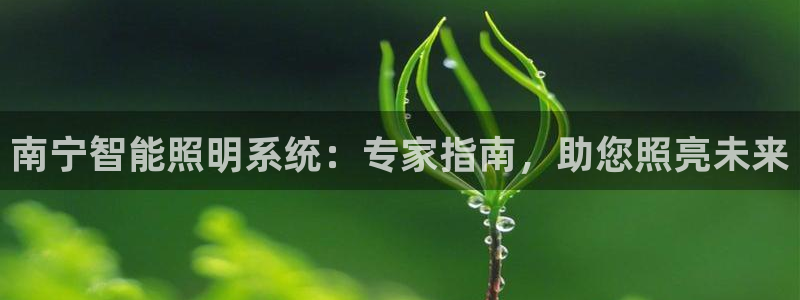 云顶国际服和美服通的吗
