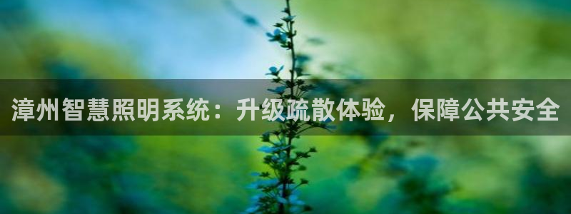 云顶国际服什么时候更新s11