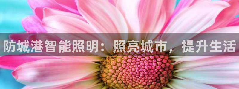 云顶国际服名字不可用