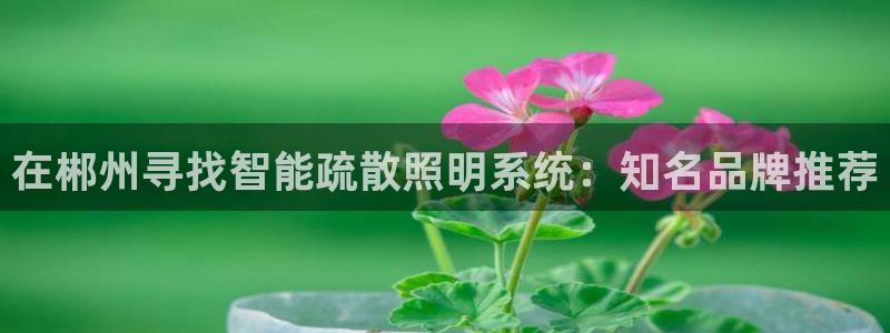 云顶国际服什么时候更新s10.5