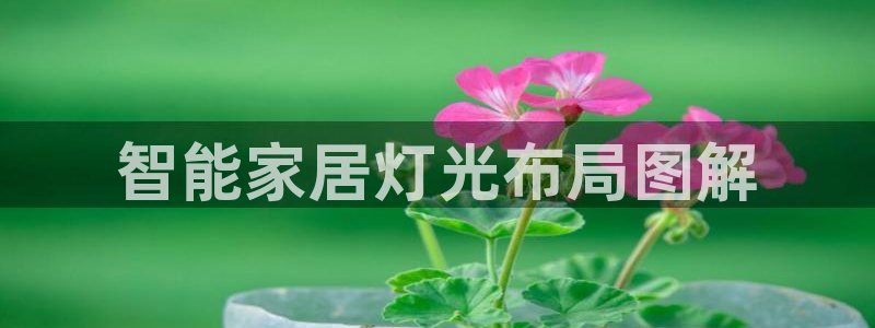 谁知道云顶的网站是多少