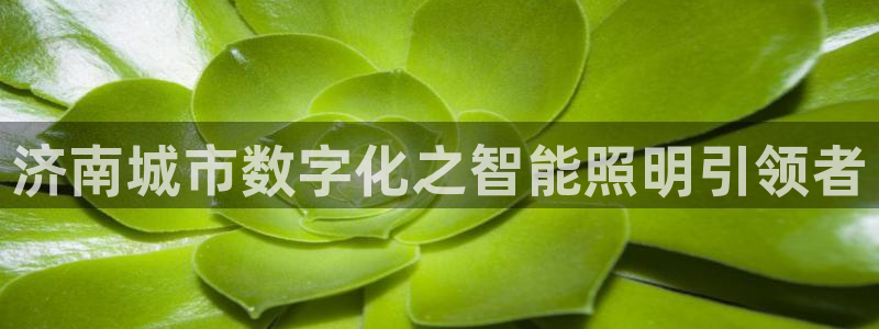 云顶国际停车费多少钱