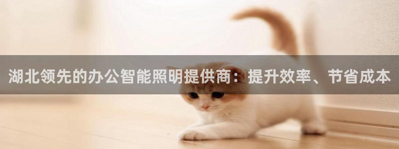中国云顶集团