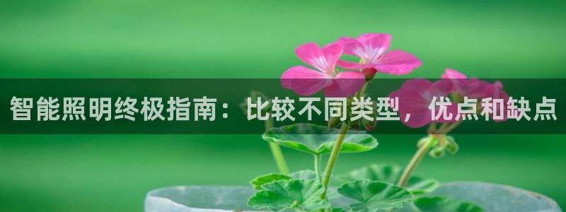 禹州云顶国际二手房