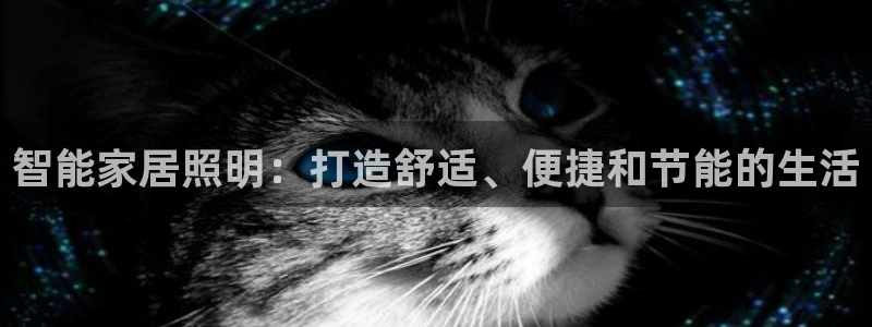 云顶集团简介资料
