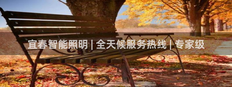 手游云顶国际服下载