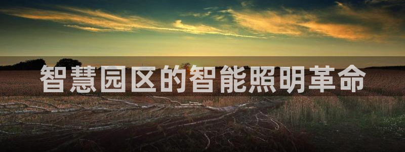 云顶国际服什么时候更新s8