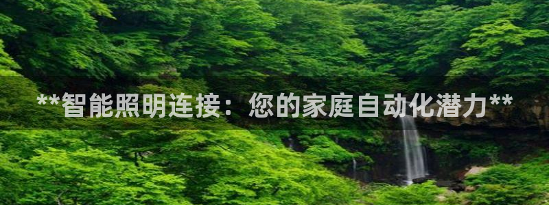 云顶国际app怎么样好用吗