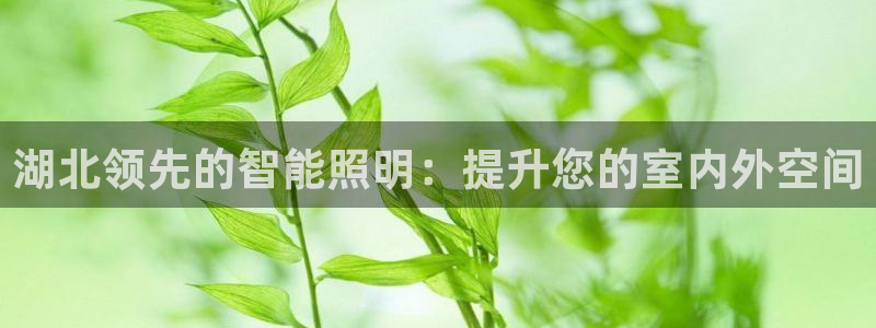 云顶国际下载安装