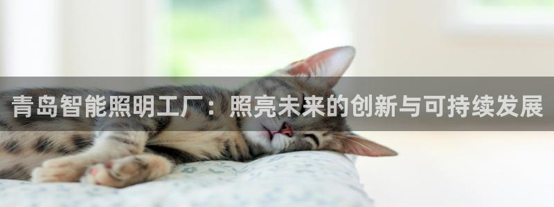 云顶国际大酒店住宿怎么样