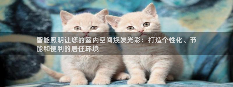 云顶国际黑款