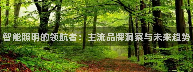 云顶讲解