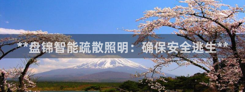 云顶国际服什么时候更新s117