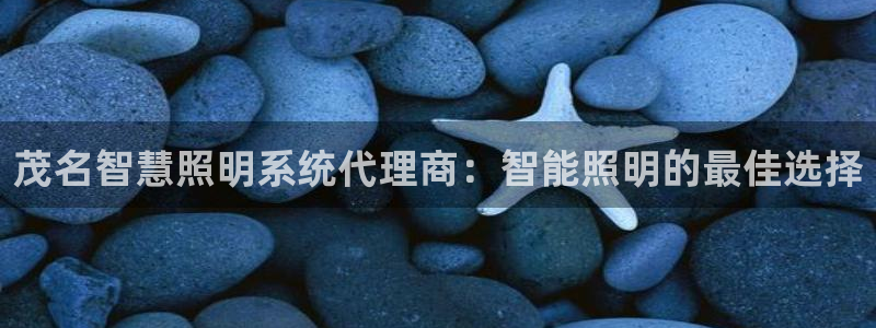 云顶国际教育