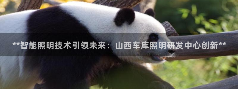 云顶国际黑款不