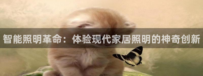 云顶中学国际部