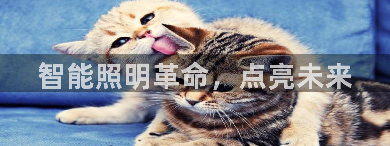 云顶国际网页