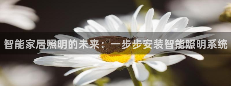 云顶国际培训中心地址