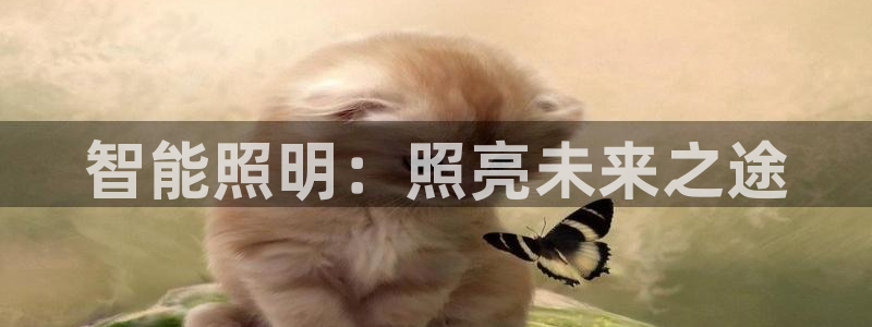 云顶国际旅行社