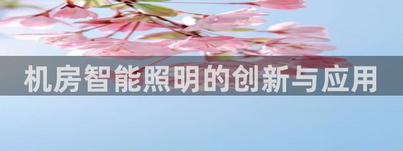 云顶集团公司简介图片