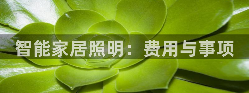 云顶国际服什么时候更新