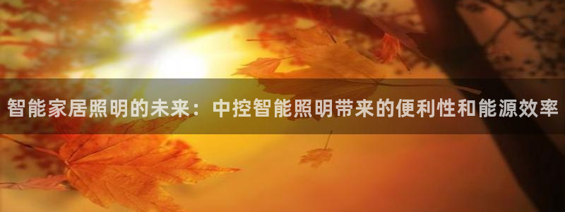 云顶集团董事长林东