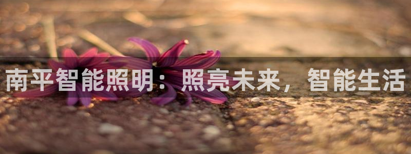 云顶国际停车费多少钱