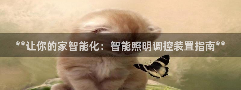 云顶国际电子游戏怎么玩