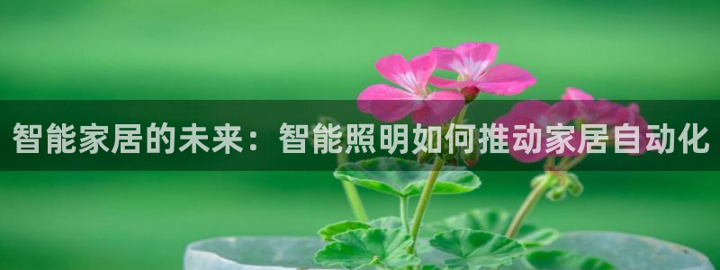 云顶国际区块链怎么样