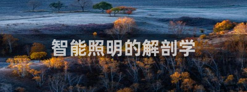 云顶国际会所是干嘛的地方