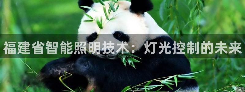 云顶集团有限公司,林东简历