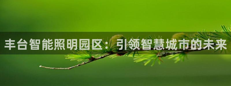 云顶集团官网电话客服