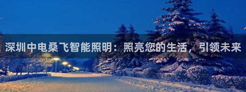 云顶国际商业广场怎么样