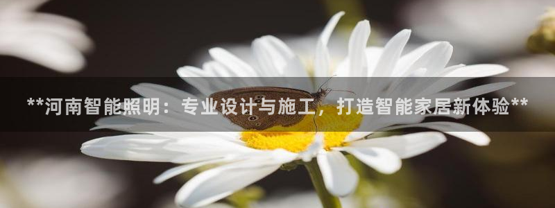 云顶国际平台为什么提现不了微信
