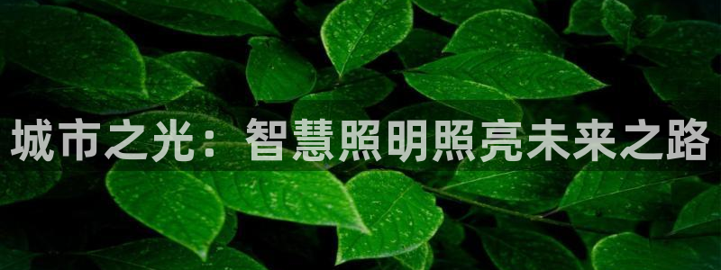 云顶国际物流官网电话