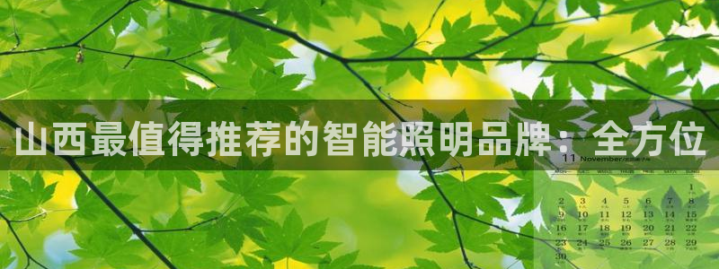 云顶国际集团游戏官网
