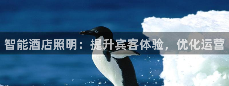 云顶国际黑网不出款