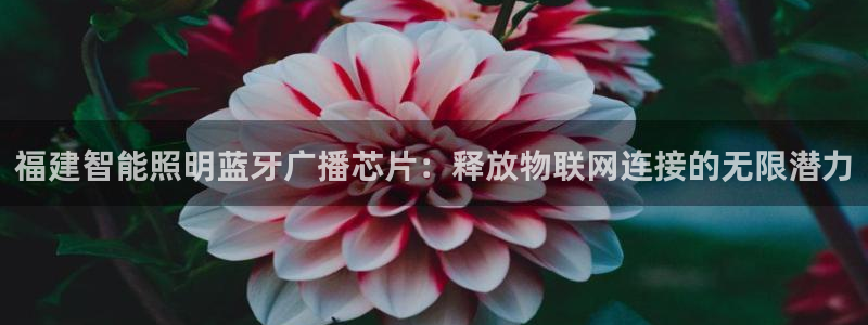 云顶dj