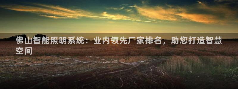 云顶国际服