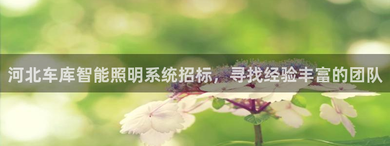 云顶高中国际部学费
