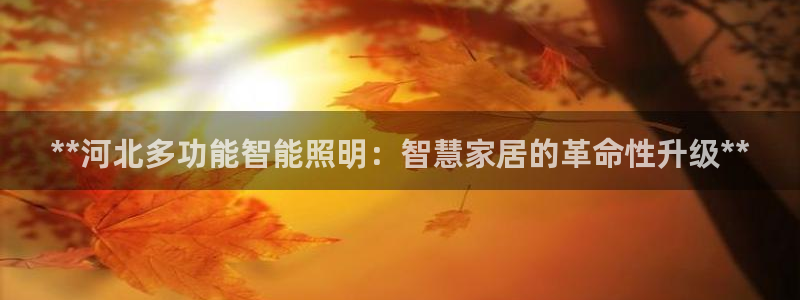 云顶国际服版本